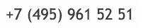 +7 (495) 961 52 51
